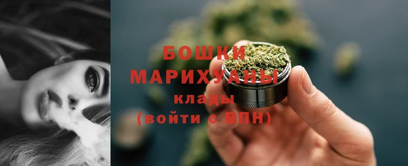 купить наркотики цена  Суровикино  Бошки марихуана Amnesia 